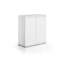 15 Pair Shoe Storage Cabinet