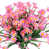 Rose est en rupture de stock
