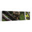 Oiseau hibou contemporain-492164129