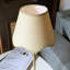 Lampe de table à DEL sans fil avec gradateur, pile rechargeable intégrée, 3 niveaux de luminosité, lampe de table de patio, lampe de chevet, éclairage ambiant pour restaurant Demetrish