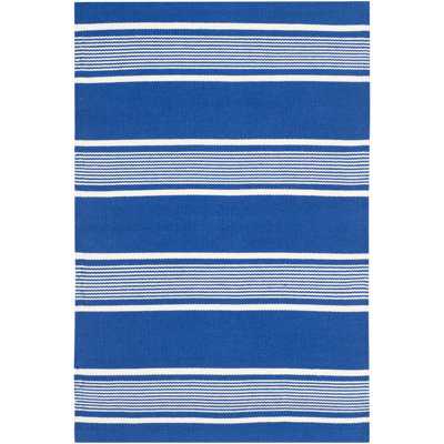 Harborview Flatweave Striped Area Rug in Blue