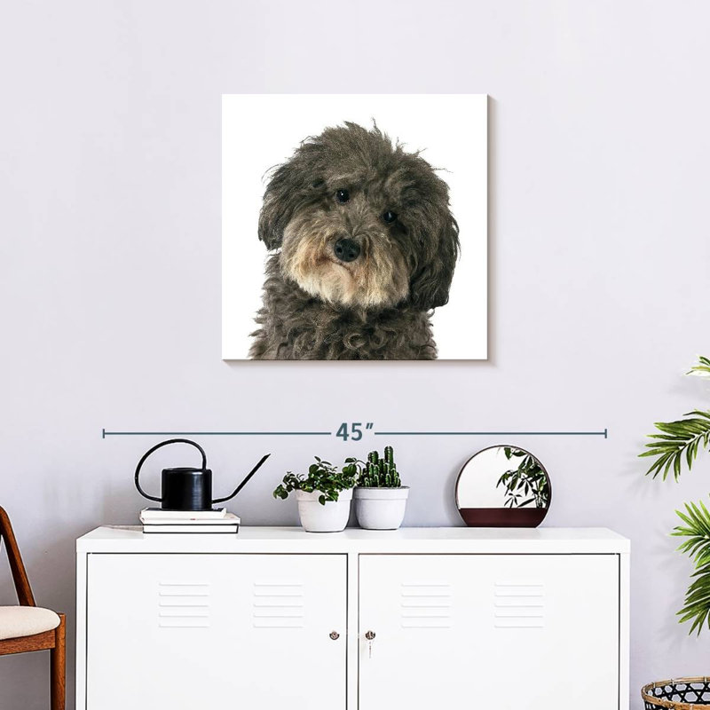 Brampt Molly The Dog, 24" H x 24" W