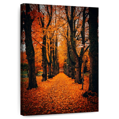 Park arbres en automne