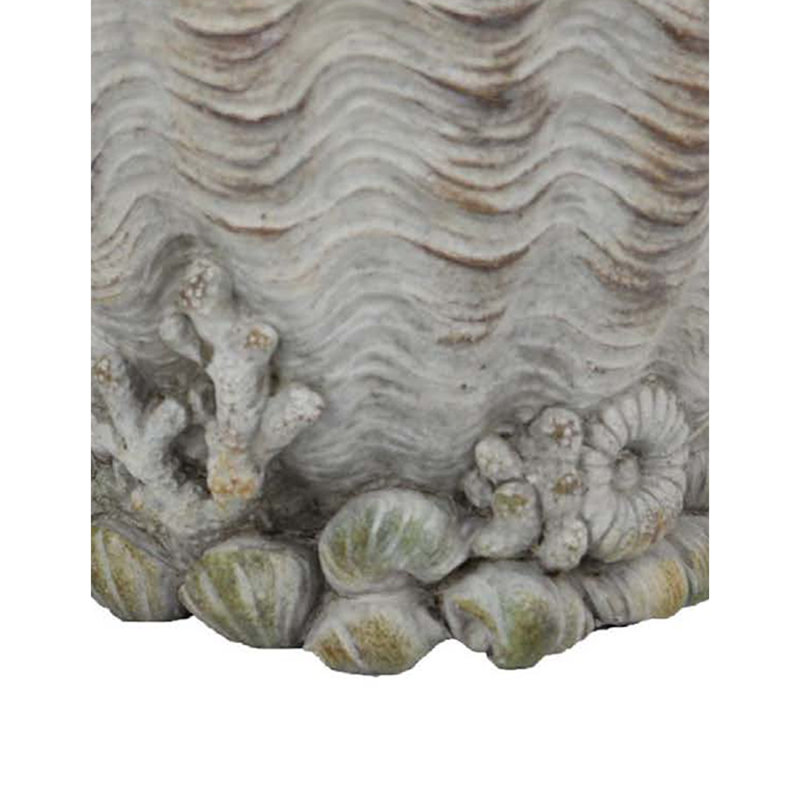 Boîte à fleurs Coastal Clam Shell