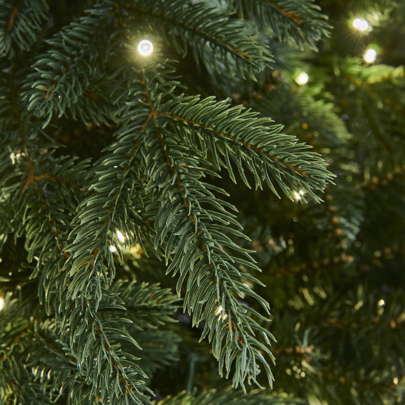 RIVINGTON FIR - Christmas Tree with New 8 Function Lights, 7.5 ft