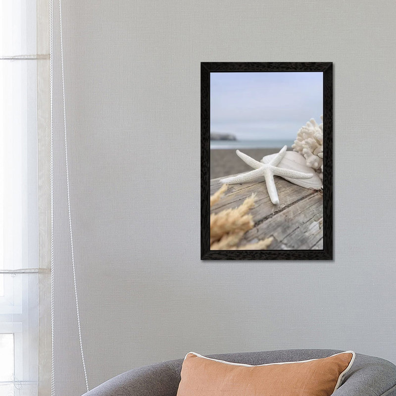 Crescent Beach Shells XIII by Alan Blaustein - Floater Frame Print on Canvas, 66.04 cm H x 45.72 cm W, Black Framed