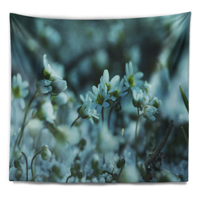 Tapisserie de petites fleurs blanches sur fond bleues floral