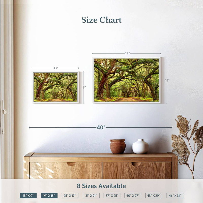 Charleston Oak Forest, 19 po x 13 po, Cadre flottant blanc