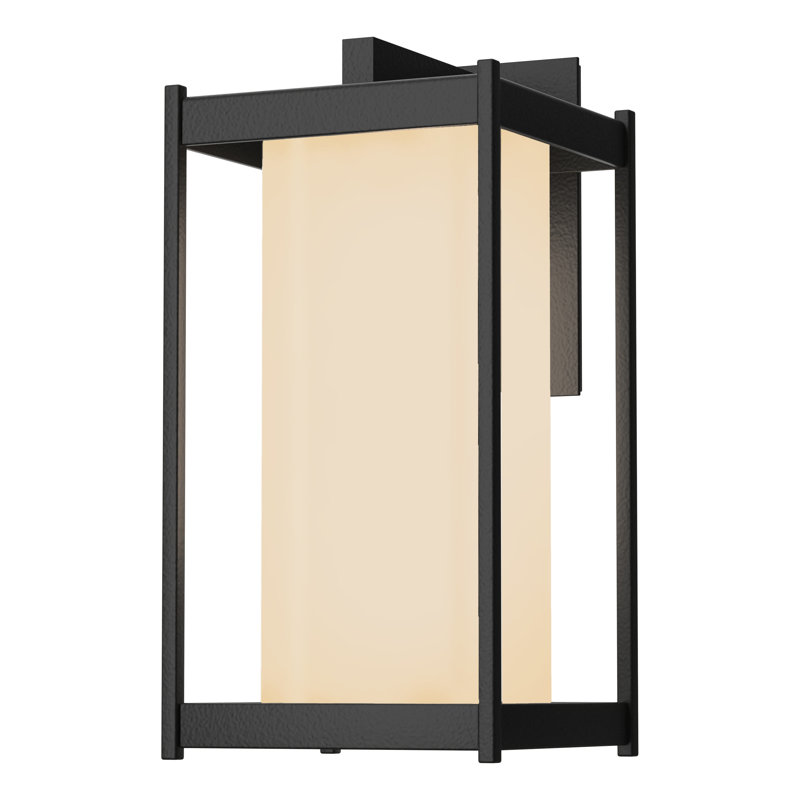 Cela Outdoor Wall Lantern, Clear Glass, Coastal Black, 16.3" H x 8" W x 8.9" D