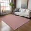 Tapis rouge lavable à la machine de qualité supérieure AMF137-1858589997