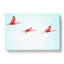 Three Pink Flamingos - Wrapped Canvas-56645298