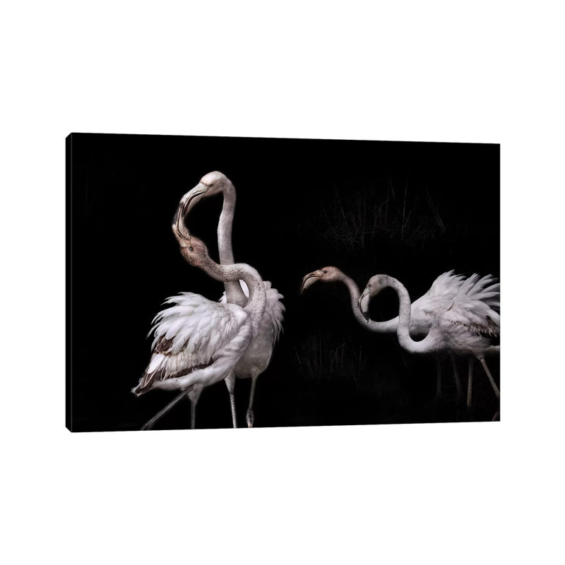 Tango And Flamingos 1 Piece Wrapped Canvas Wall Art, 66.04 cm H x 45.72 cm W x 3.175 cm D