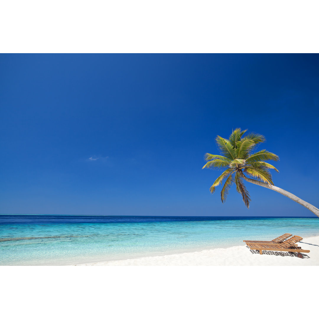 Palmtree And Beach Beds von Amri - Kunstdrucke auf Leinwand