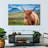 Brampt Furry Highland Cow-108701919