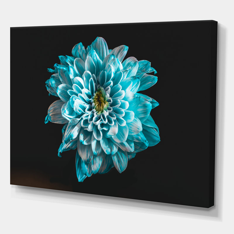Gros plan d'une fleur avec des pétales bleus et blancs - reproduction sur toile, H 12 po x l 20 po x p 1 po, Toile tendue
