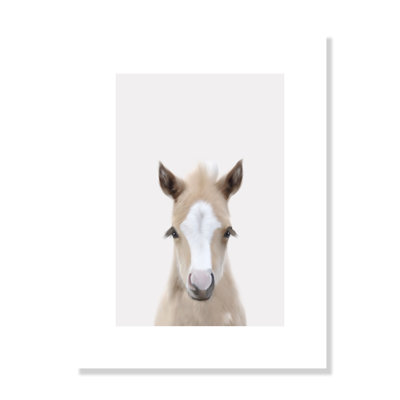 Baby Horse 1, impression sur papier
