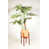 Cream on Orange/Walnut est en rupture de stock