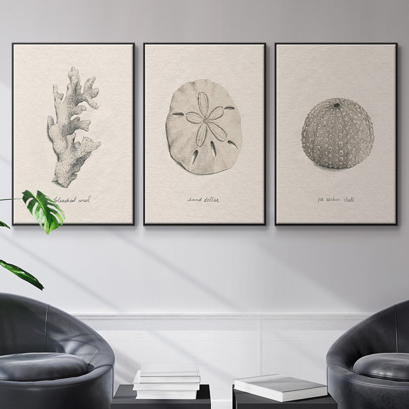 Shore Treasure Study I, reproduction encadrée sur toile 3 pièces, Cadre noir, H 27 po x l 54 po x P 2 po