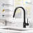OAKLAND Pull Down Kitchen Faucet-55638825