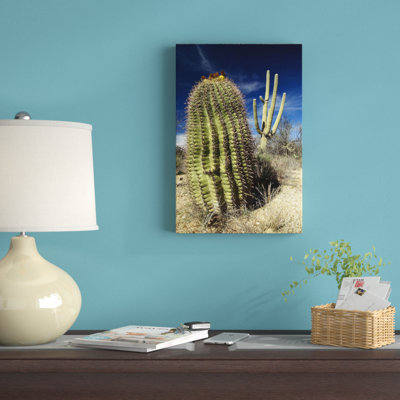 " Saguaro With Fishhook Barrel Cactus "