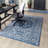 Oriental Indoor Rug-2088722205