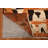 Orange Geometric Moroccan Oriental Area Rug 6x8