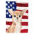 Chihuahua beige sélectionné