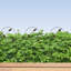 Bordure de clôture de jardin décorative en métal H 32 po x l 19,5 po, 10 panneaux, longueur totale de 16 pi, clôture anti-rouille pour les parterres de fleurs, les arbres et les cours, brun-88451900-129675636