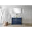 Lafarre 48 in W x 20 in D Double Bathroom Vanity Set with Mirror-97832467-113111388