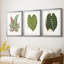 Feuilles de collection IV - impression encadrée sur mesure de qualité supérieure - 3 pièces-92255236-92255238