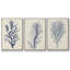 Indigo Brush Blooms I, ensemble de 3 toiles encadrées sur toile-97792405-97792398