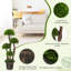 90Cm Artificial Boxwood Topiary in Planter