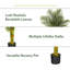Faux Palm Tree in Planter-641199119