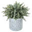 Faux plantes d'eucalyptus artificiel