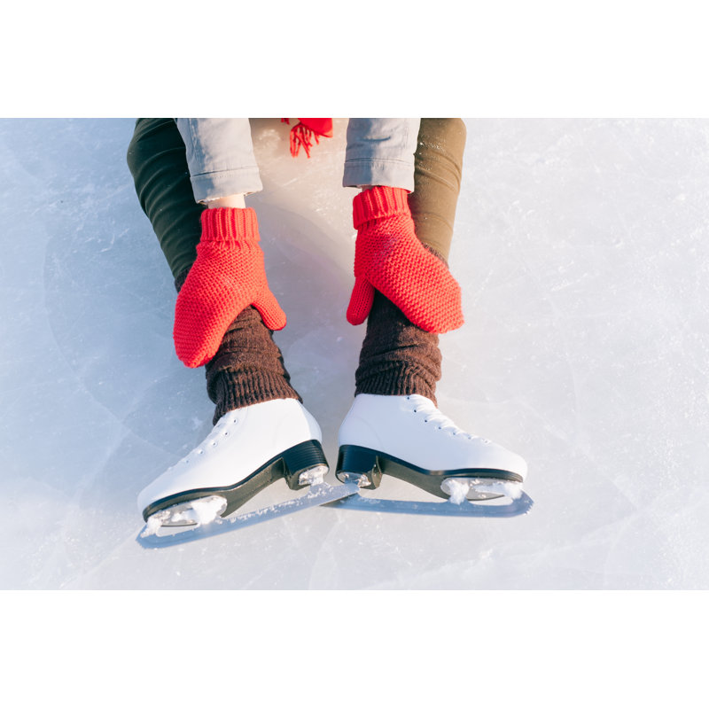 Ice Skates - Wrapped Canvas Print, 30cm H x 46cm W x 3.8cm D