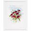 White Glove Series—Cones Framed Print