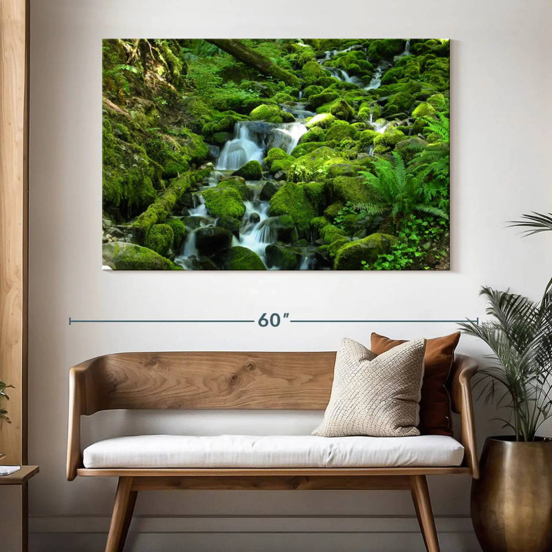 Alvord Stream At Olympic National Park, 34" H x 51" W