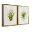 «Hanging Airplant II», ensemble de 2 reproductions d'art-105408468-105408469-105408470