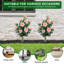 Arrangement