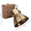 Cruz Gold 27cm H Outdoor Armed Sconce
