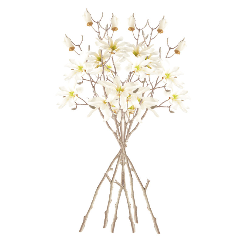 Magnolia Etoile, 32"