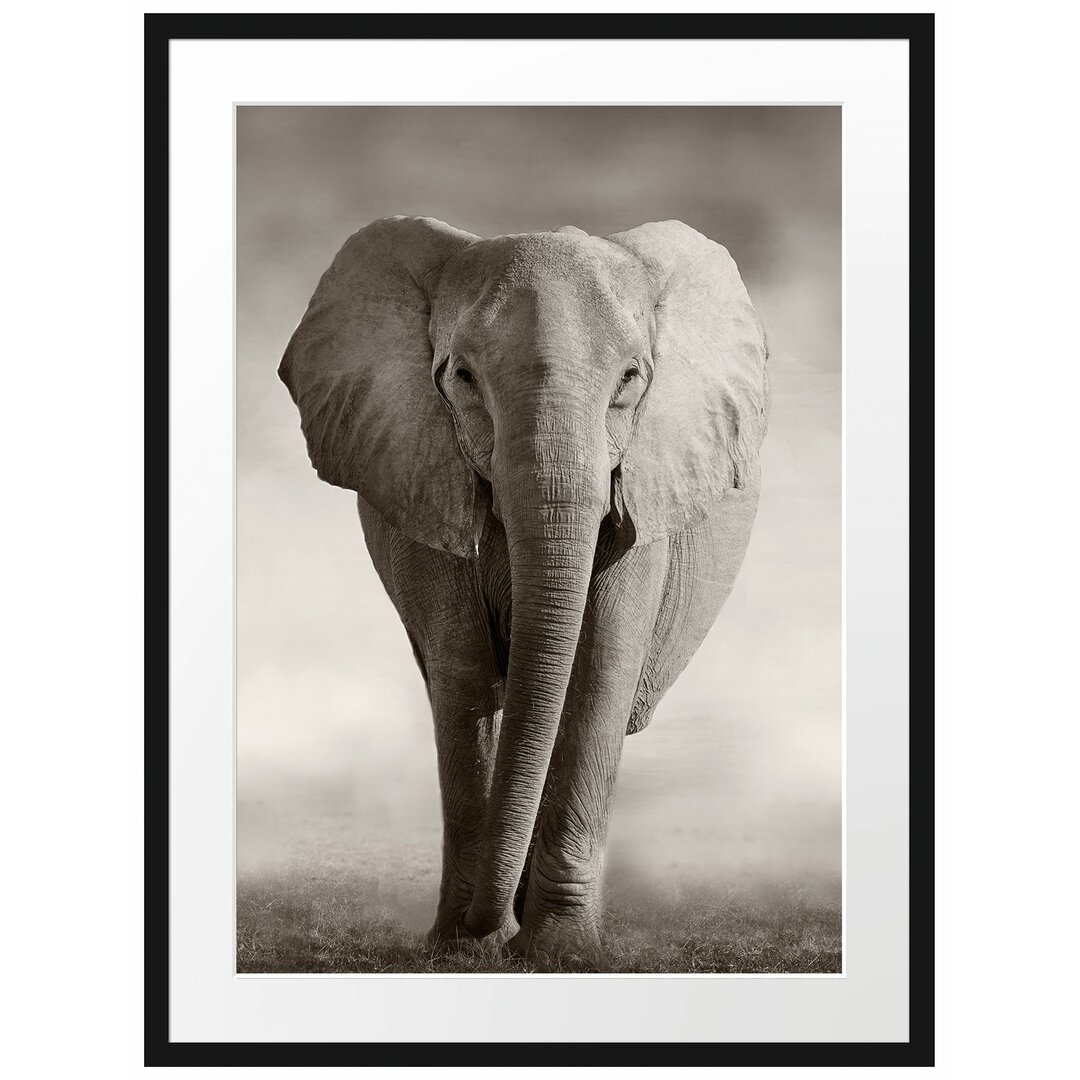 Gerahmtes Poster Elefant in Savanne