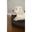 Theodis Codura Pet Bed-1062754200-1062753892-1062753893