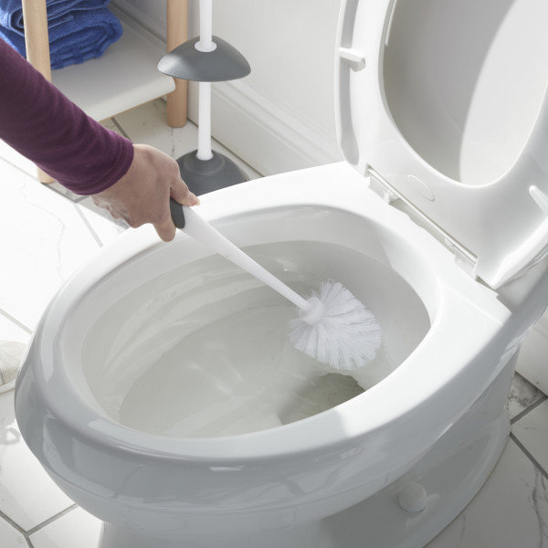 https://assets.wfcdn.com/im/90753186/compr-r85/2460/246080321/clorox-plastic-toilet-brush-and-holder.jpg