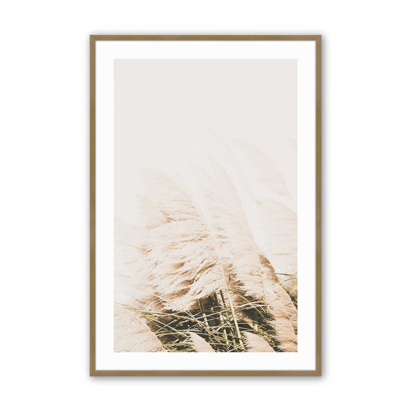 Imprimé de pampas doux, dans un cadre, Cadre doré brossé, 21.25" H x 17.25" W x 1.25" D