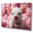 Toile tendue