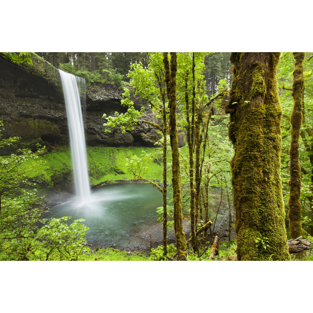 South Falls von Sarawinter - Kunstdrucke auf Leinwand