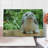 Ambesonne Bunny Cutting Board Large Size Photo of Holland Lop Rabbit Multicolor