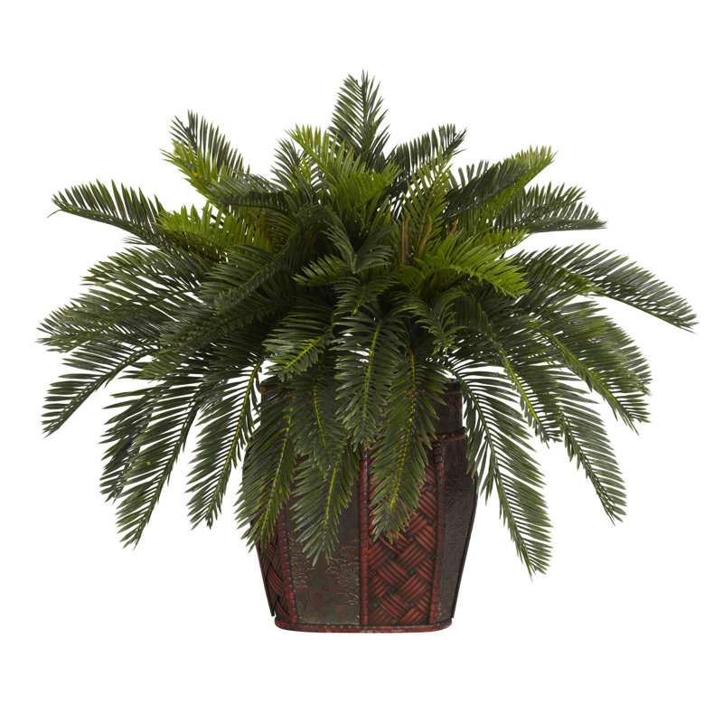 Bureau double Cycas dans un panier