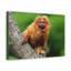 No Frame Print on Canvas